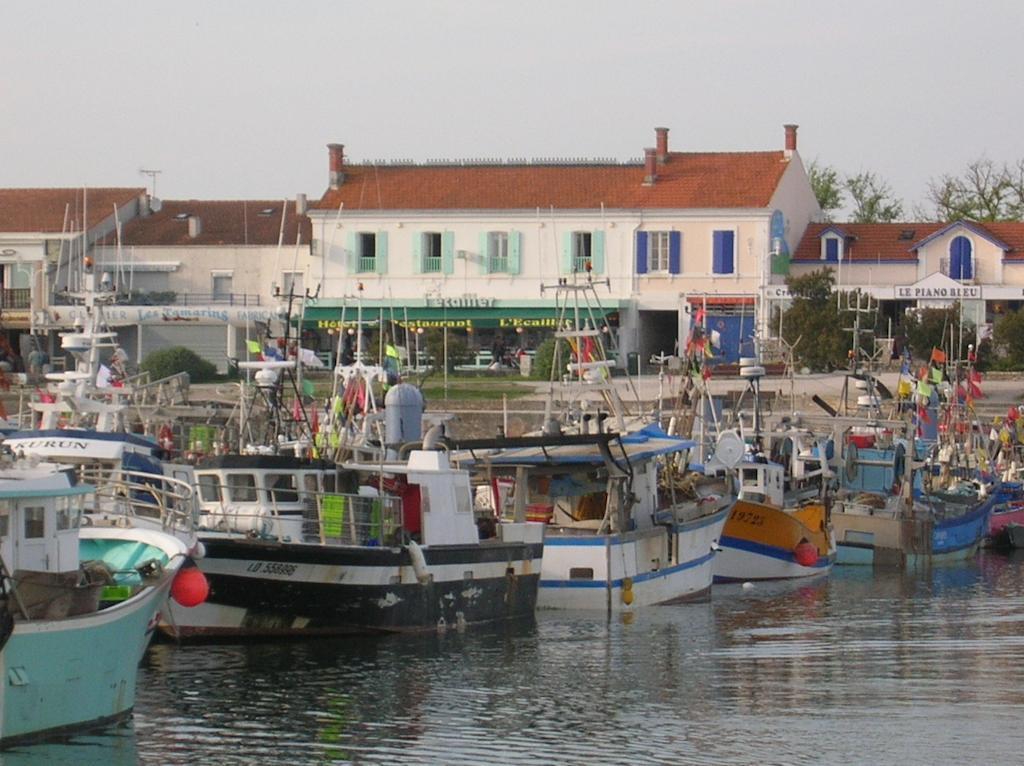 Hotel L'Ecailler La Cotinière Εξωτερικό φωτογραφία